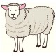 Sauve moutons - Multiplication