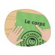 Textes Fluence - Le corps - CE / CM